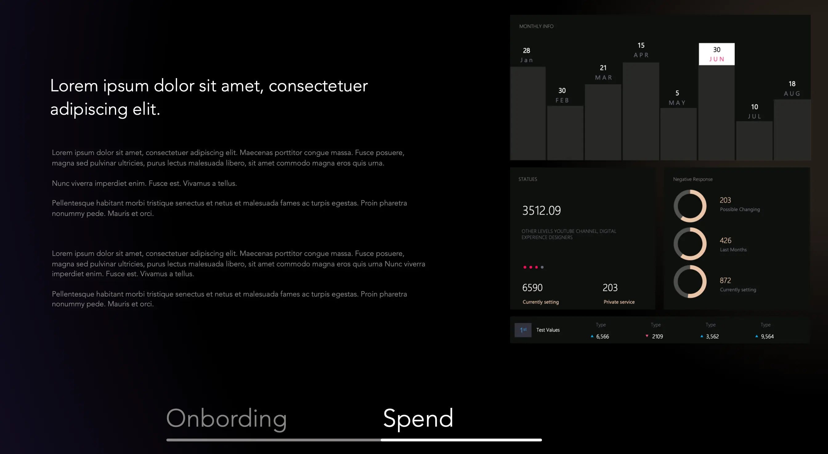 Professional Spreadsheet Template for budgeting, business expenses, and Excel data management