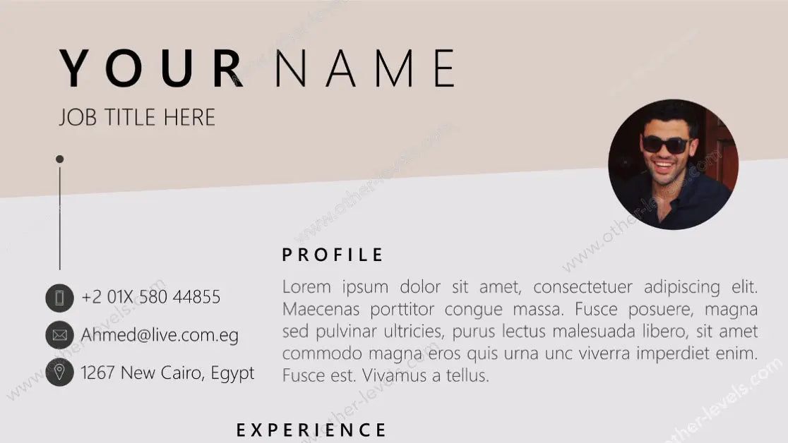 C.V / Resume Template Other Levels