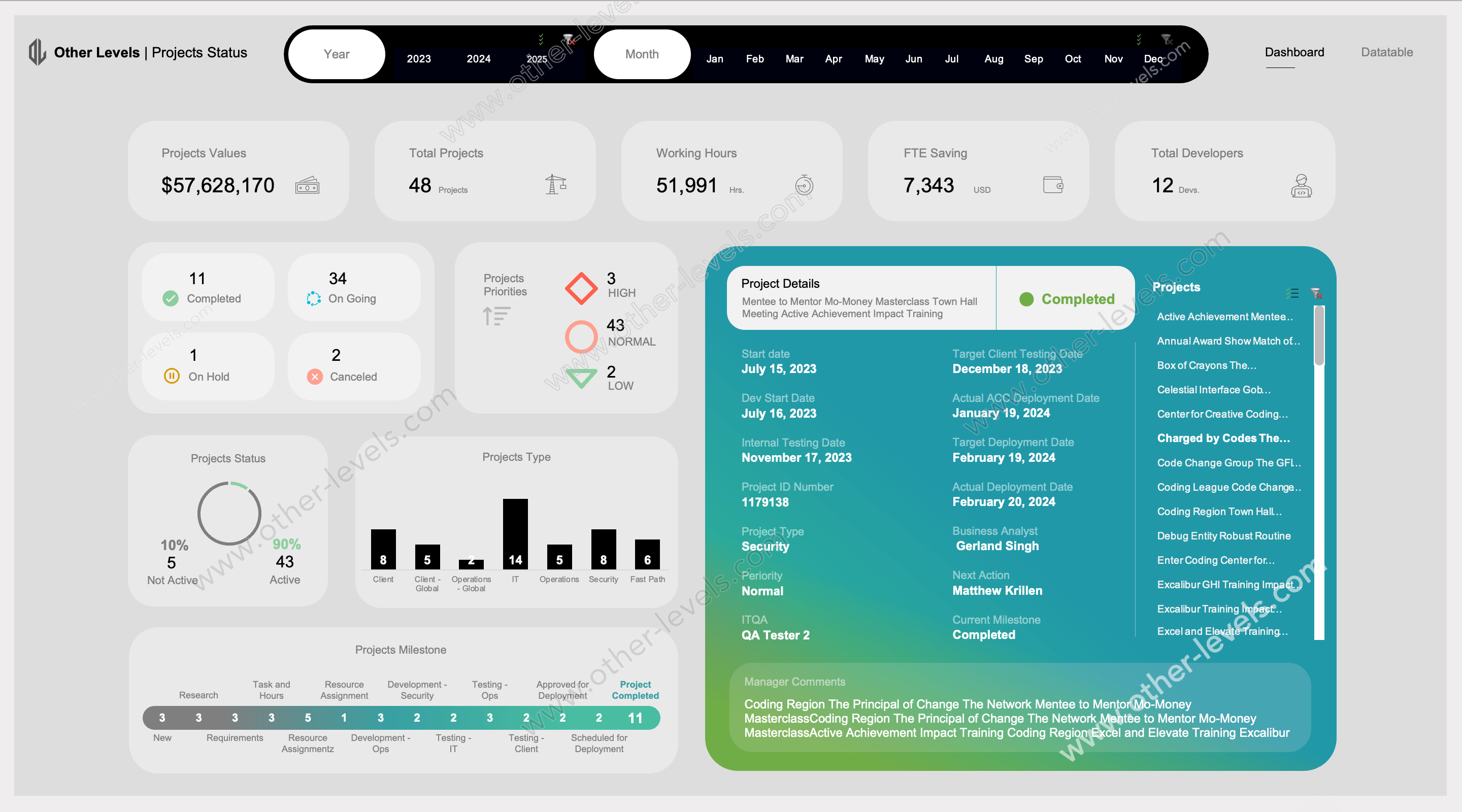 Excel Dashboard interface with project management details on a gray background