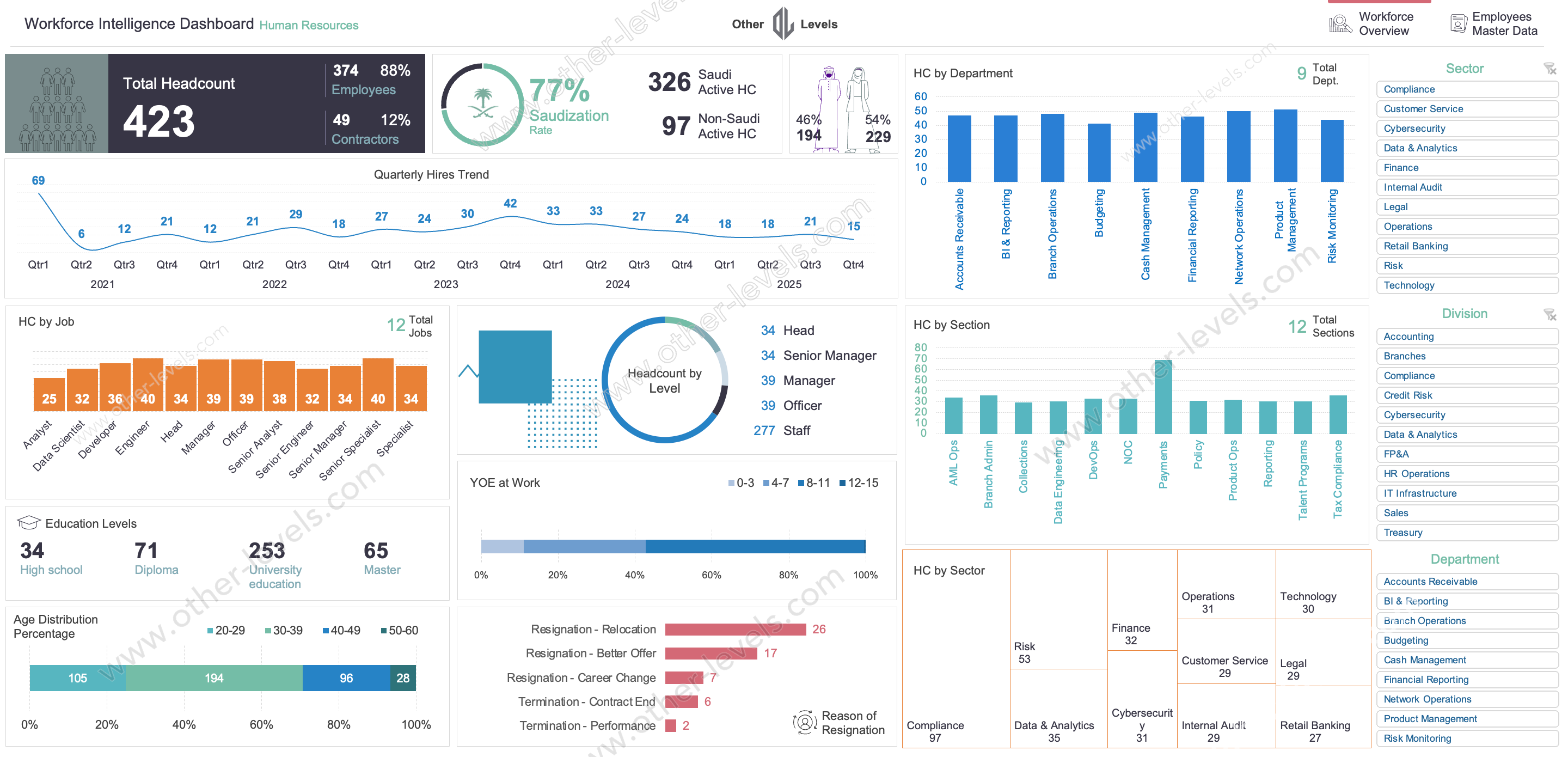 Workforce intelligence Excel dashboard template showing HR headcount analysis hiring trends departments workforce demographics and HR analytics