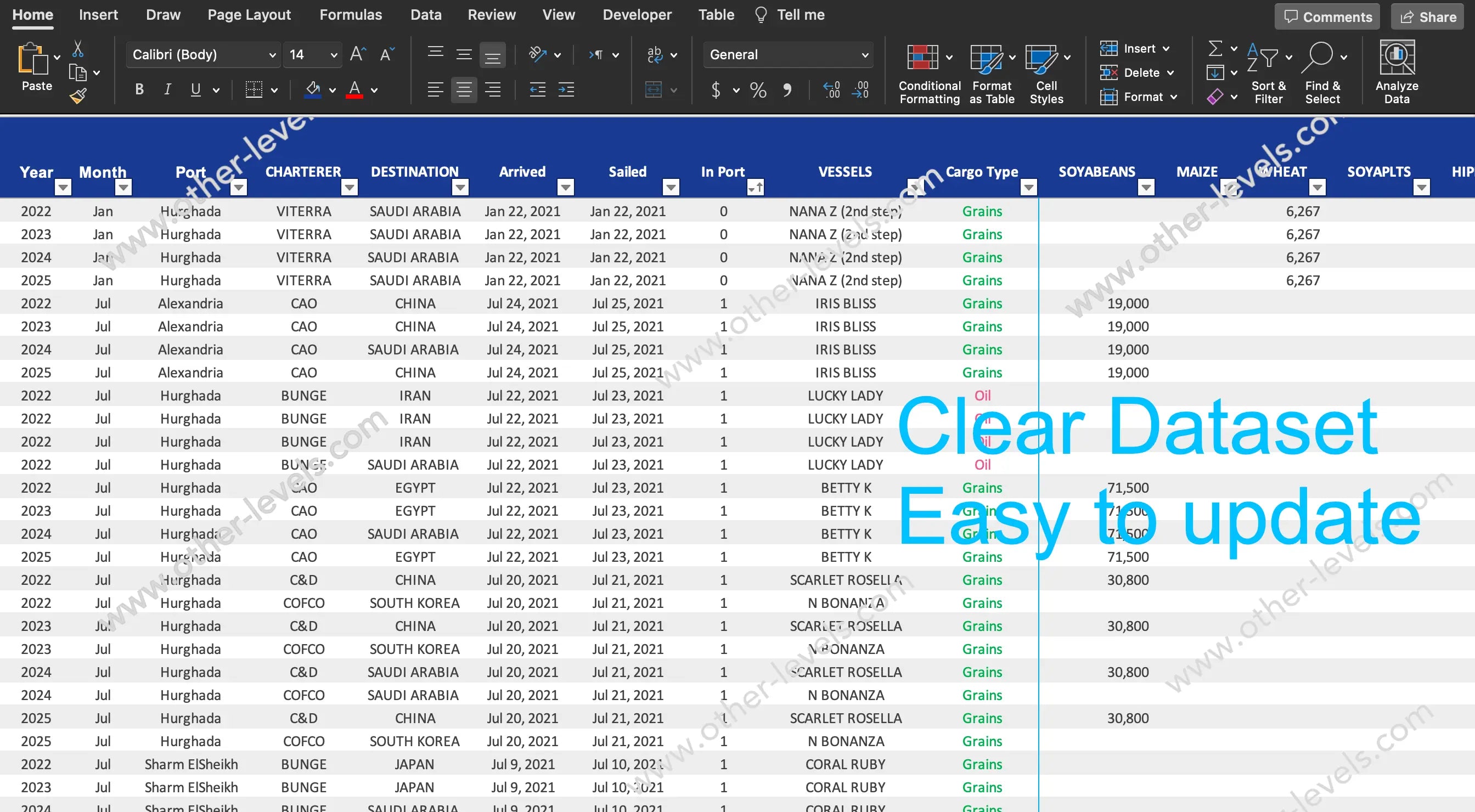 Excel Dashboard for Cargo Logistics displaying vessel tracking map, shipment routes, and key shipping analytics metrics in professional layout.