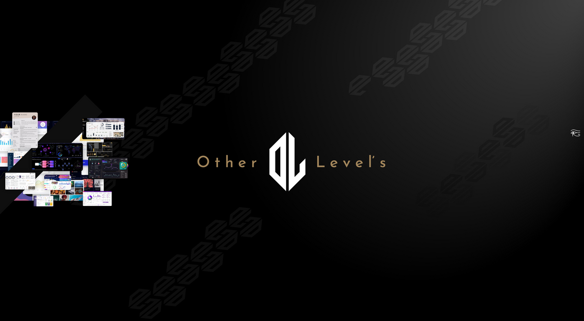About Other Levels | Excel Dashboard Templates & Services