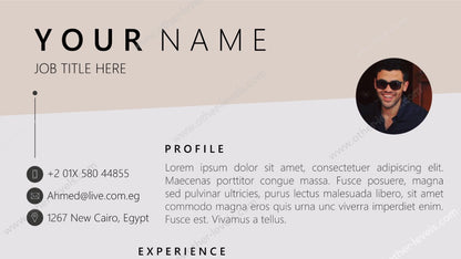 C.V / Resume Template