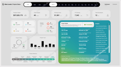 Excel Dashboard interface with project management details on a gray background