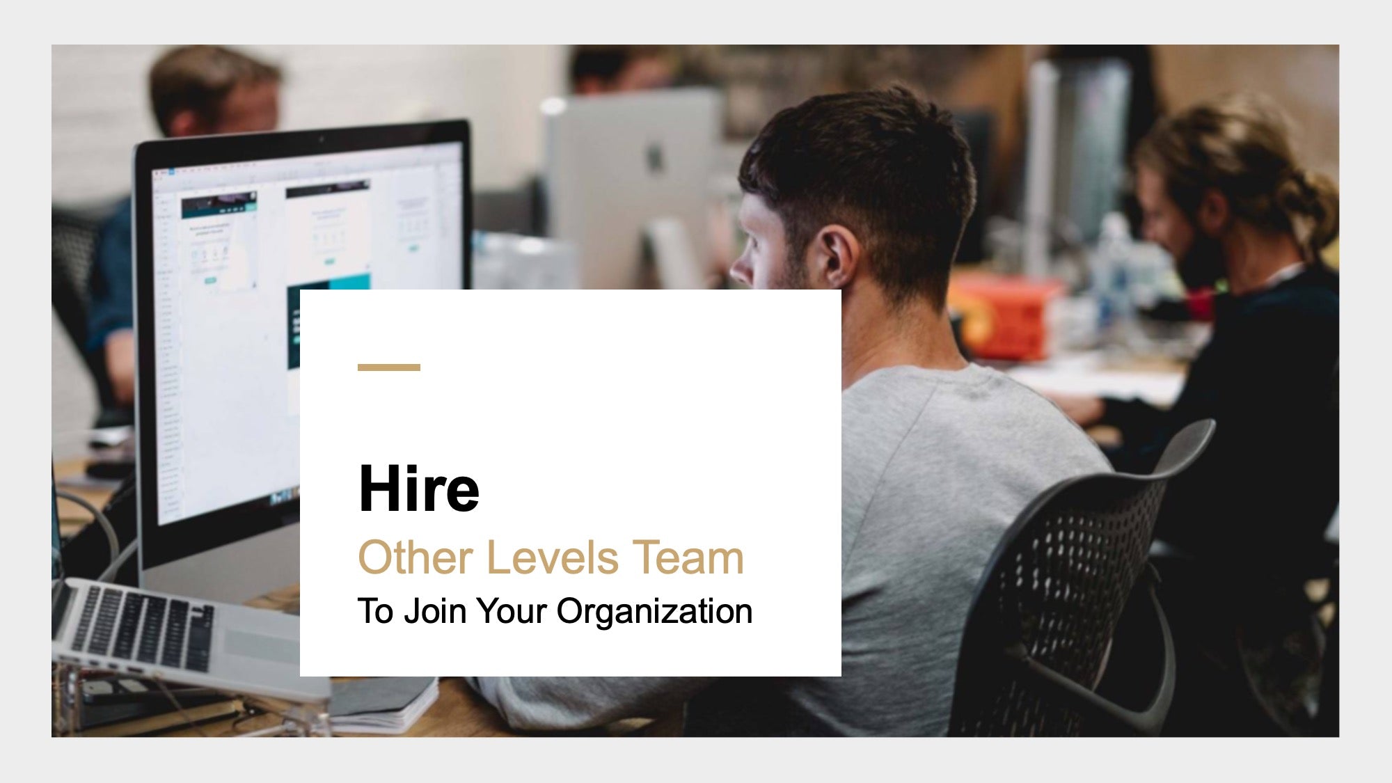 Hire other levels Team to your organisation