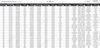 Workforce intelligence Excel dashboard template showing HR headcount analysis hiring trends departments workforce demographics and HR analytics dataset