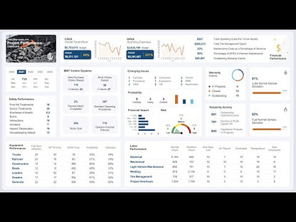 Project Performance Management