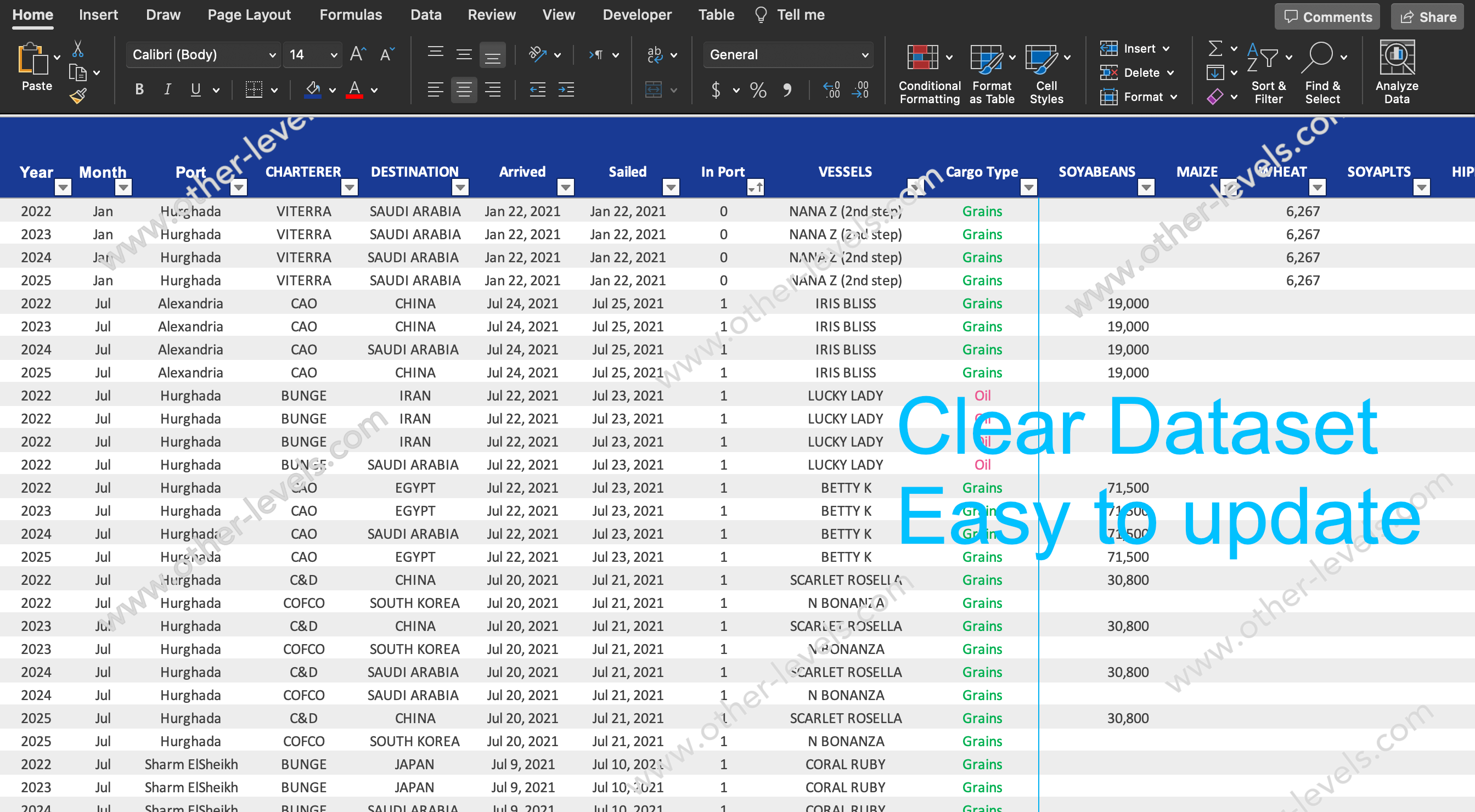 Excel data table Cargo Shipments Dashboard.xlsx