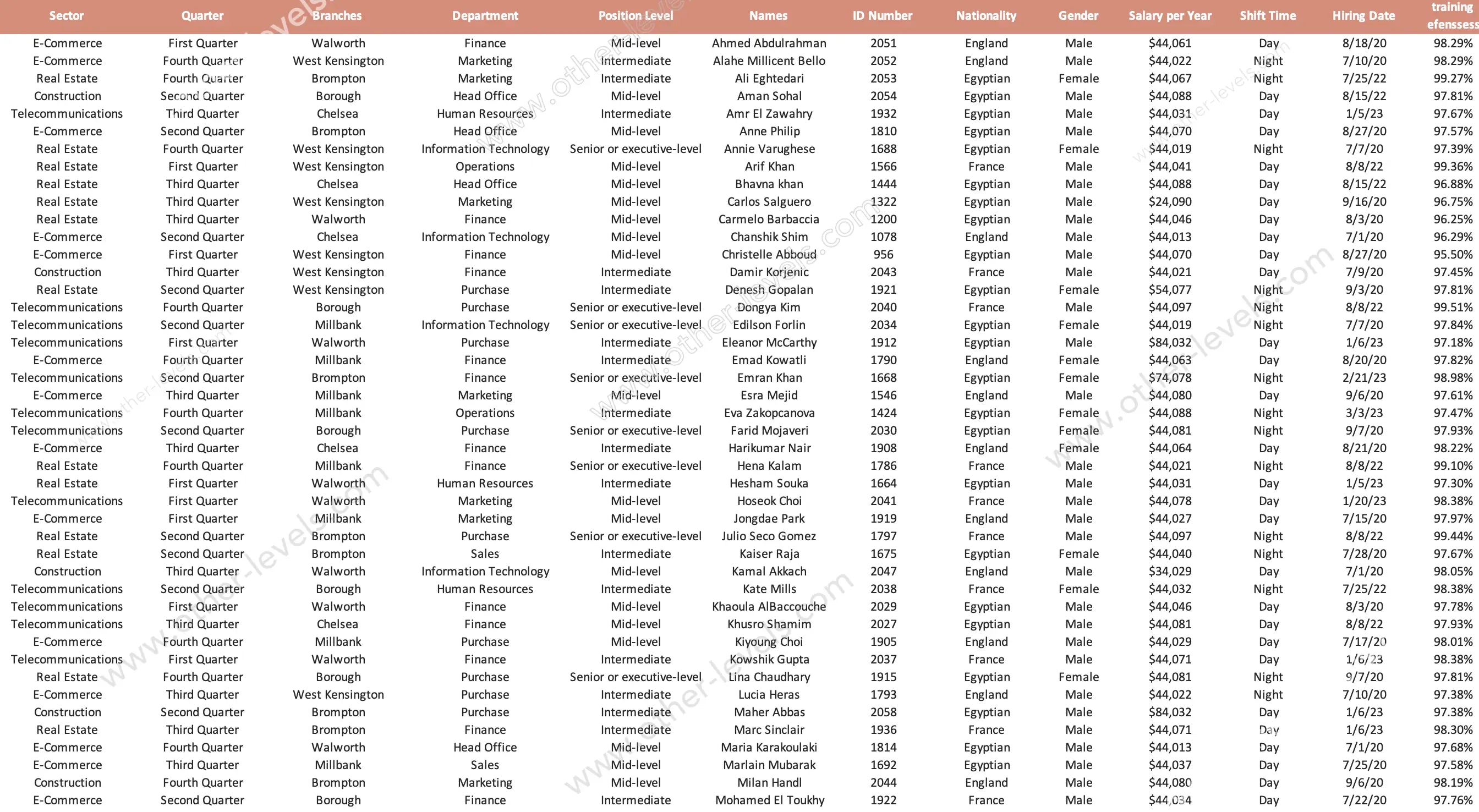 Human Resource Management Structure Advanced Excel Dashboards