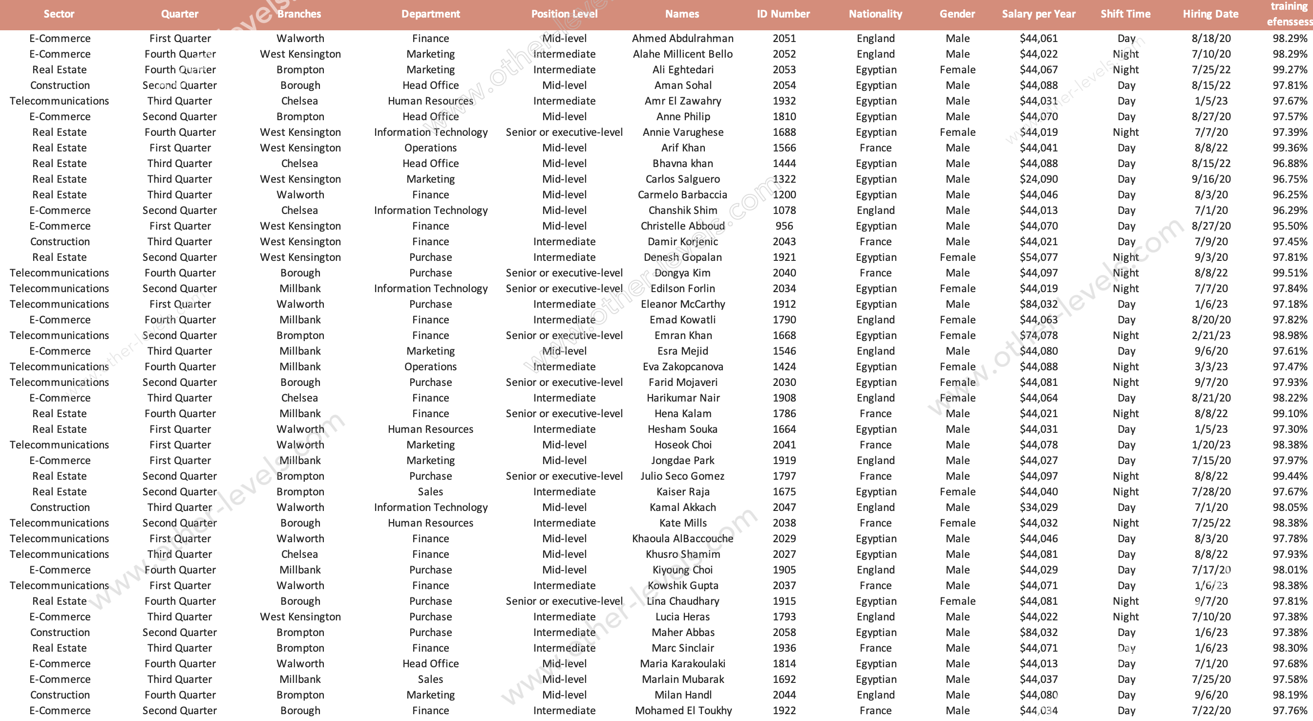 Human Resource Management Structure Advanced Excel Dashboards