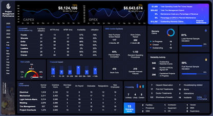 Project Management Performance