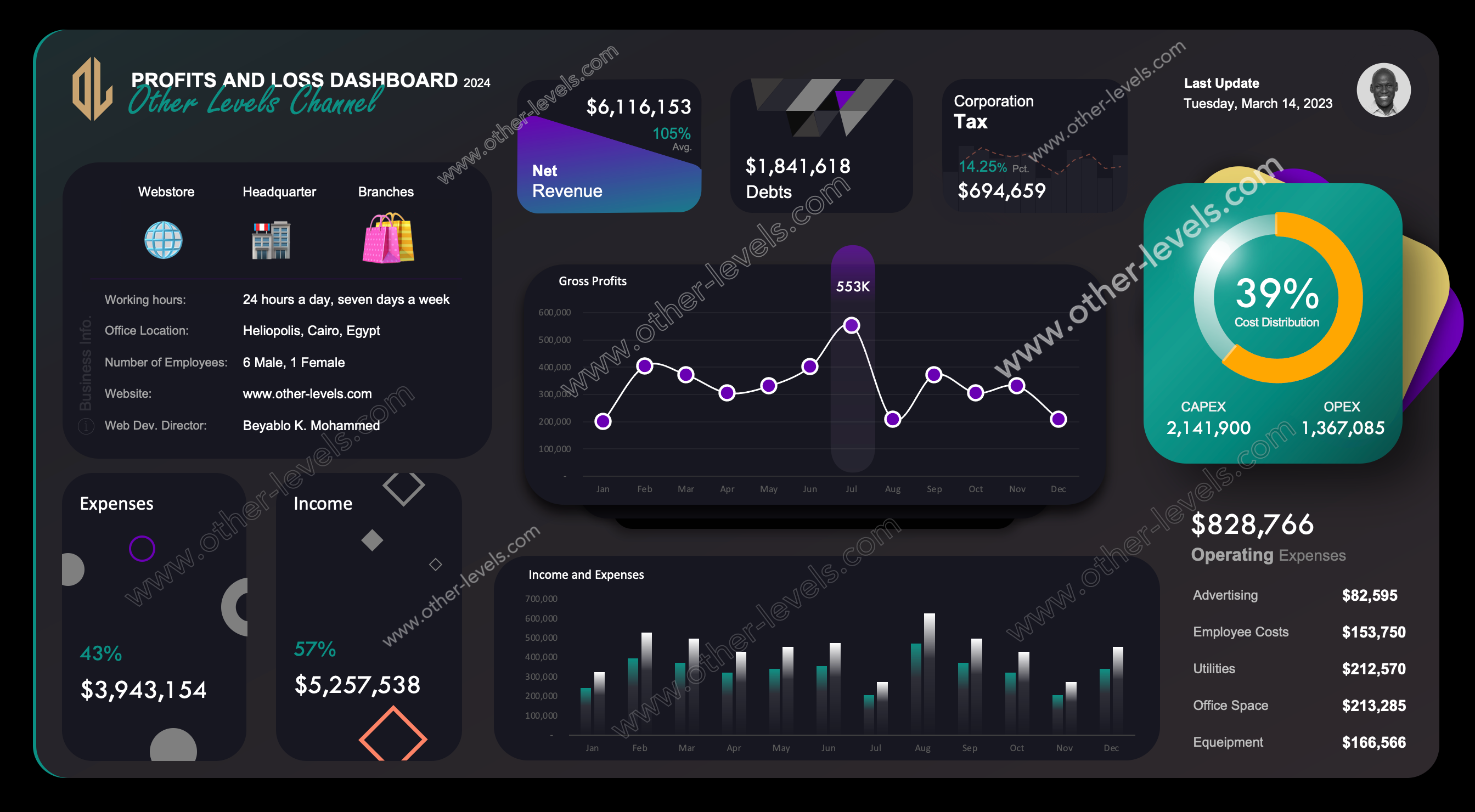 Excel dashboard PROFITS AND LOSS DASHBOARD (Mac Version - Dark).xlsx