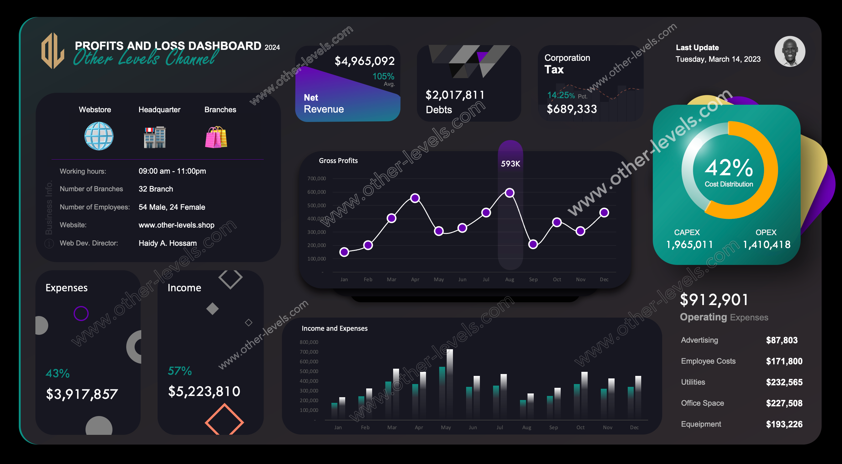 Excel dashboard PROFITS AND LOSS DASHBOARD (Mac Version - Dark).xlsx