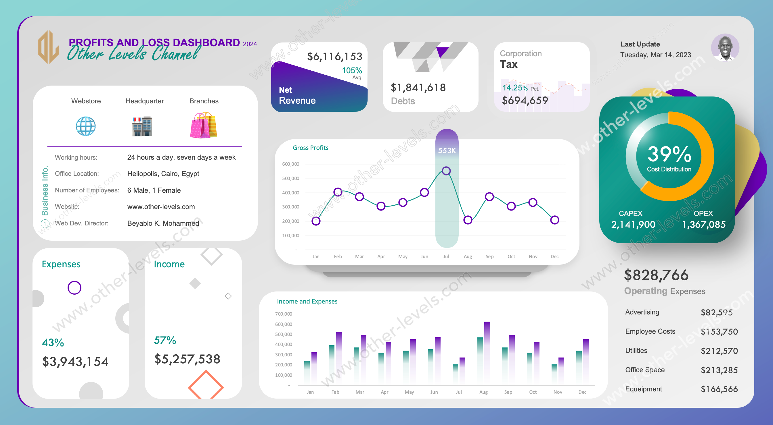 Excel dashboard PROFITS AND LOSS DASHBOARD (Mac Version - light).xlsx