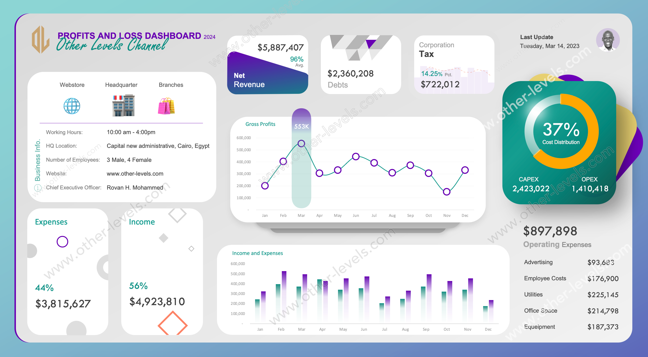 Excel dashboard PROFITS AND LOSS DASHBOARD (Mac Version - light).xlsx