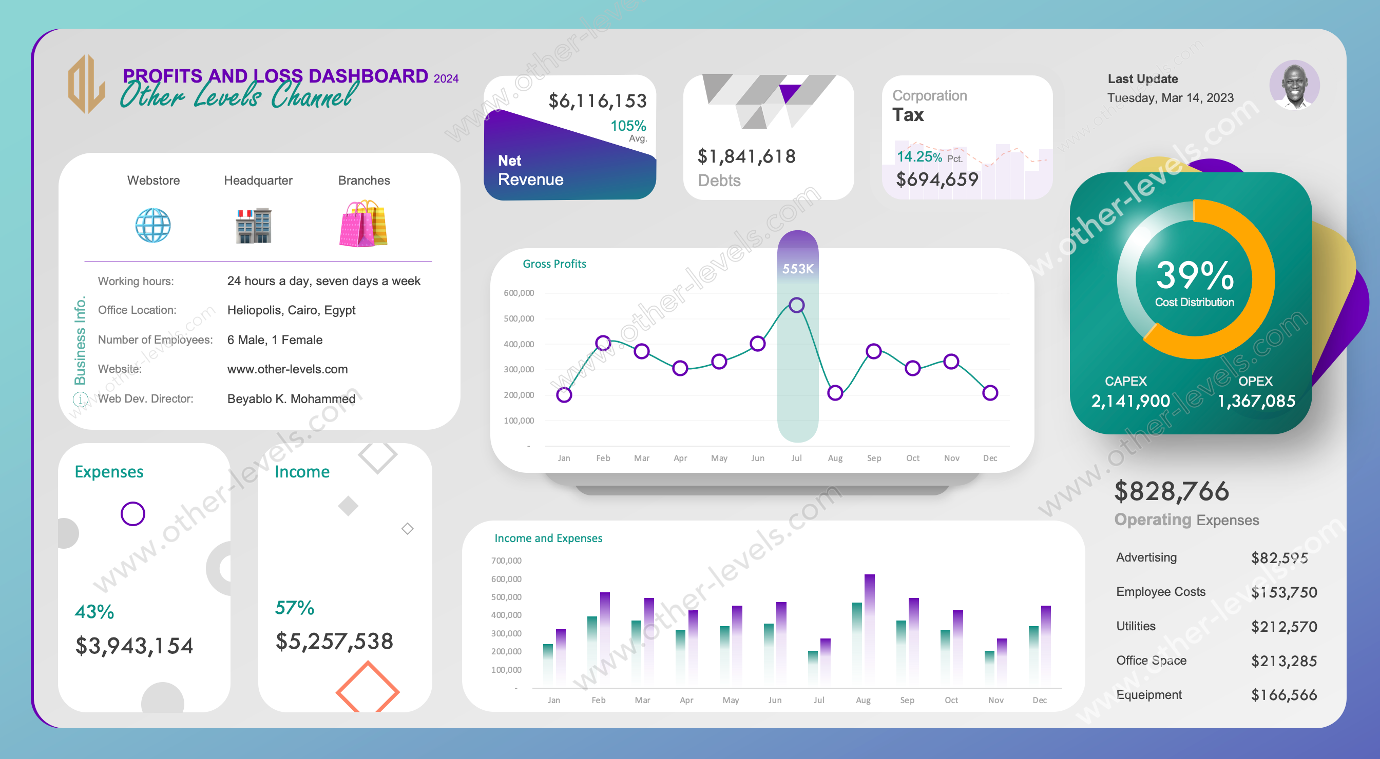 PROFITS AND LOSS Business Dashboard Templates _MacVersion-light