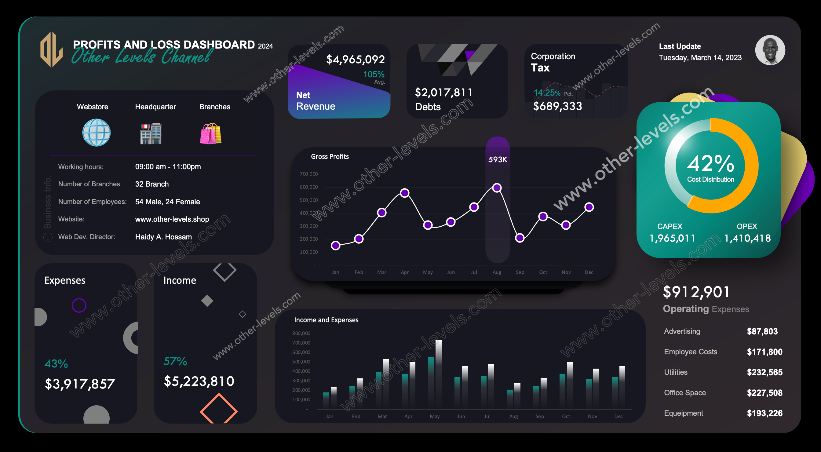 PROFITS AND LOSS excel DASHBOARD template _MacVersion-dark