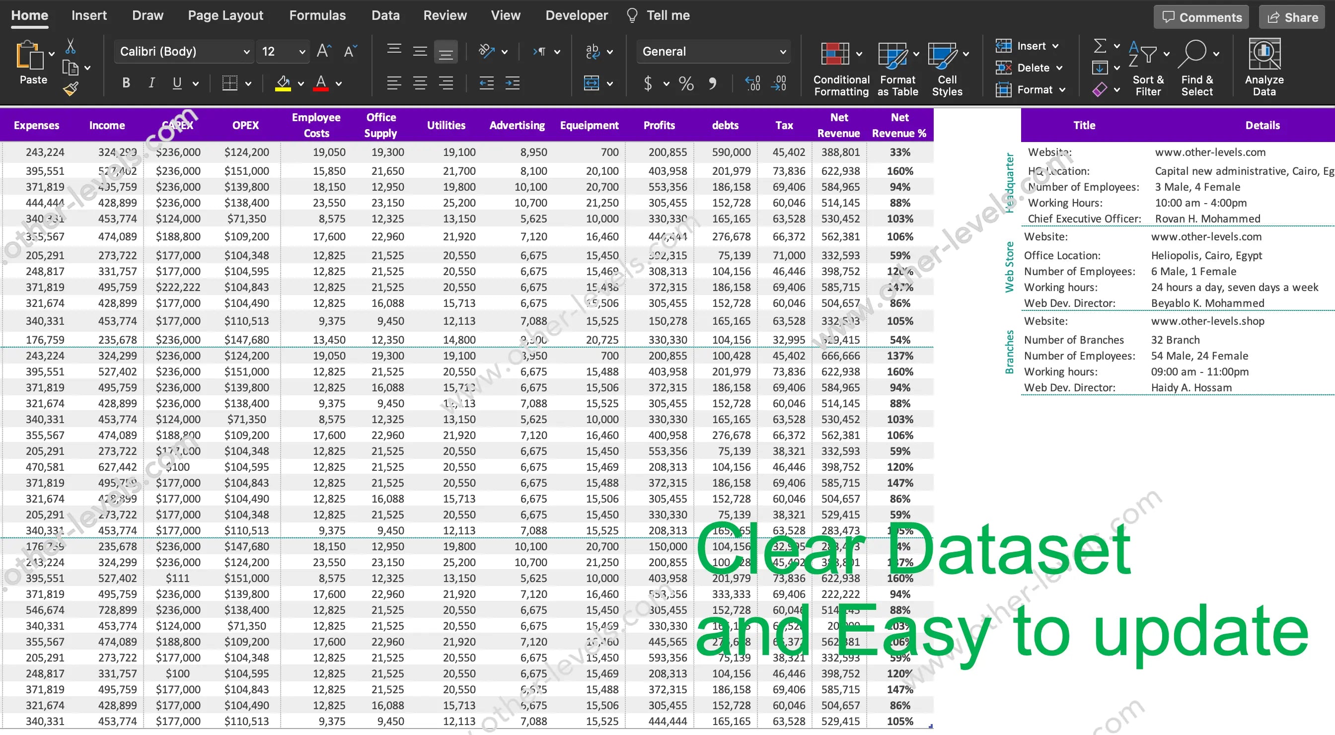 PROFITS AND LOSS _MacVersion-light dataset