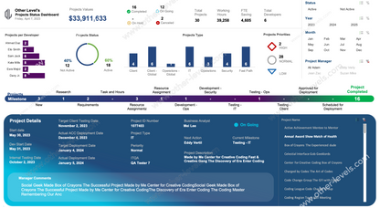 Projects Status and Details excel Dashboards template